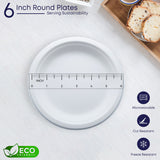 Biodegradable Sugarcane Baggase 6" Round Plate for Hot and Cold Food | 1000 Pcs | Environmental Friendly