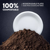 Biodegradable Sugarcane Baggase 6" Round Plate for Hot and Cold Food | 1000 Pcs | Environmental Friendly