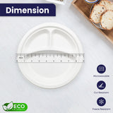 5Seconds 125Pcs Eco-Friendly Sugarcane Bagasse 3 Compartment Plates, Sturdy 9-Inch Disposable Plates, Biodegradable & Compostable, Ideal for Parties, BBQs, Picnics, Catering, Sustainable Tableware